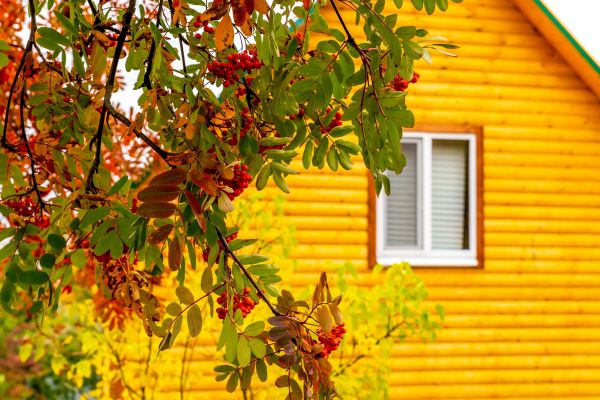 Cost of Garden Window Replacement in Brooksville